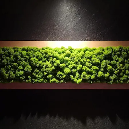 アパート Sea View Moss Vip