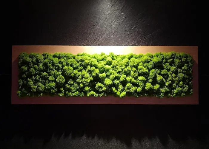 Апартаменты Sea View Moss Vip