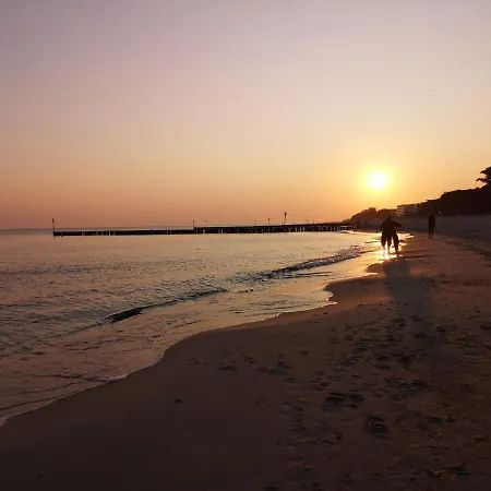 Апартаменты Sea View Moss Vip